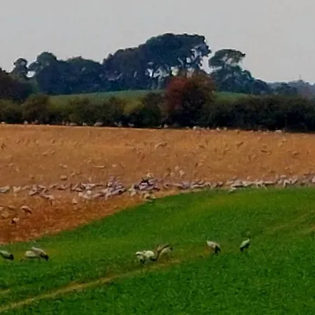 Landhaus Levitzow Levitzow