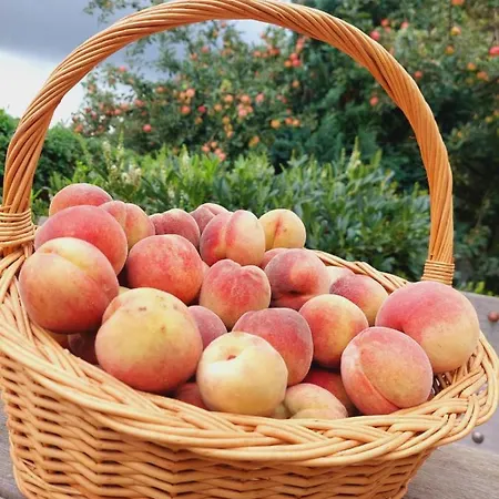 Landhaus Levitzow 3*