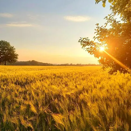 Landhaus Levitzow 3*