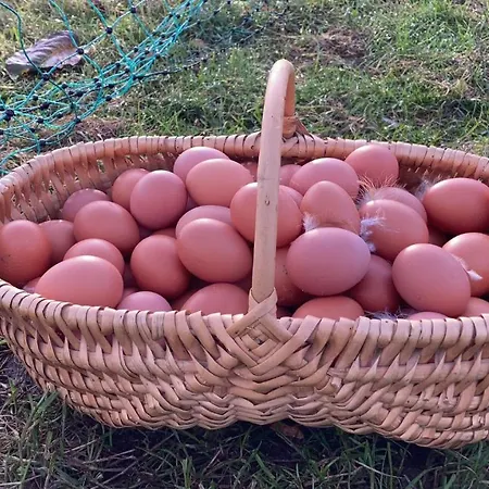 Landhaus Levitzow 3*