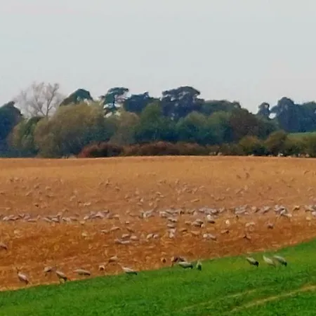 Landhaus Levitzow 3* Levitzow